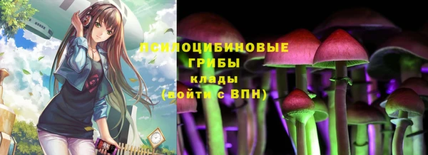 тгк Абаза
