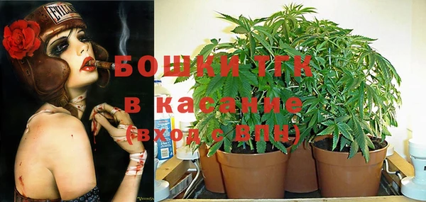 тгк Абаза