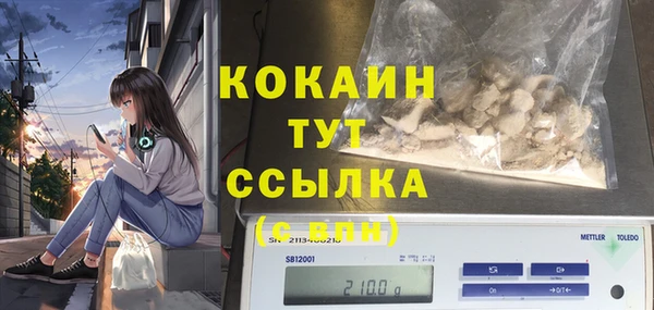 тгк Абаза