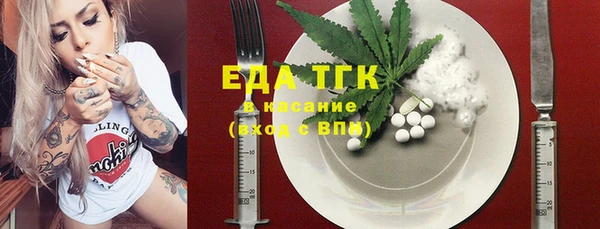 тгк Абаза